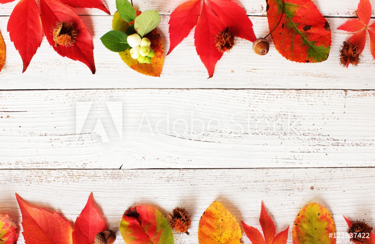 Picture of Bunte Herbstbltter mit Herbstfrchten auf weien Holzbrettern